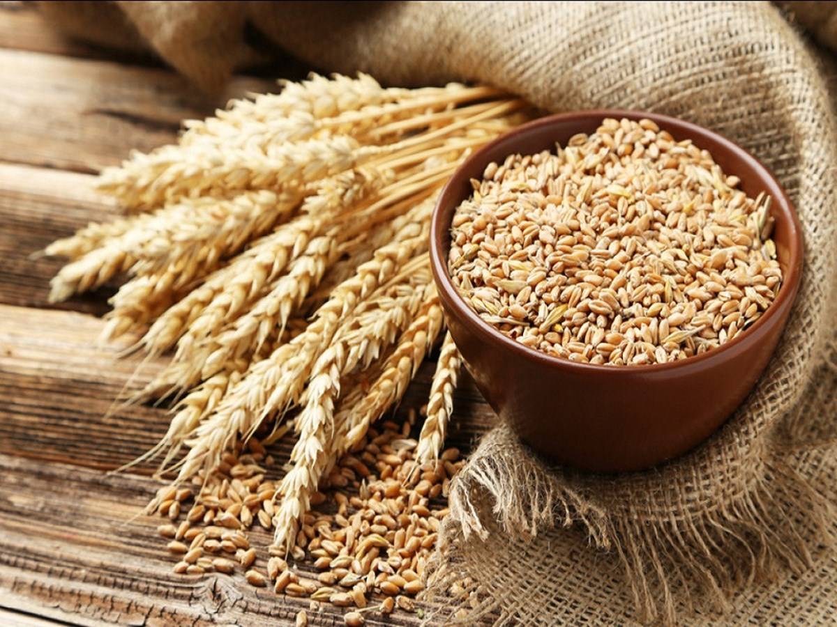 Crown Millers wheat fields
